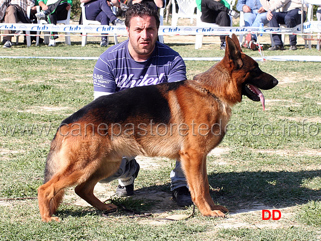 eros-di-casa-aceto-3mb-libera-maschi.jpg - Eros di Casa Aceto 3 MB Libera maschi 