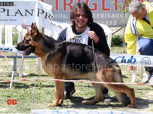 iron-v-maikhus-2mb-giovanissimi-maschi.jpg - Iron v. Maikhus 2 MB Giovanissimi maschi 