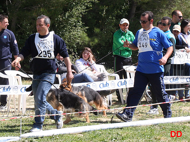 juniores-femmine-briscola-di-santa-venere-bella-del-reventino.jpg - Classe Juniores femmine Briscola di Santa Venere e Bella del Reventino 