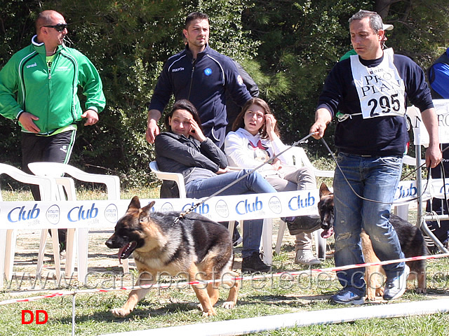 juniores-femmine-ula-di-casa-beggiato.jpg - Classe Juniores femmine Ula di Casa Beggiato 