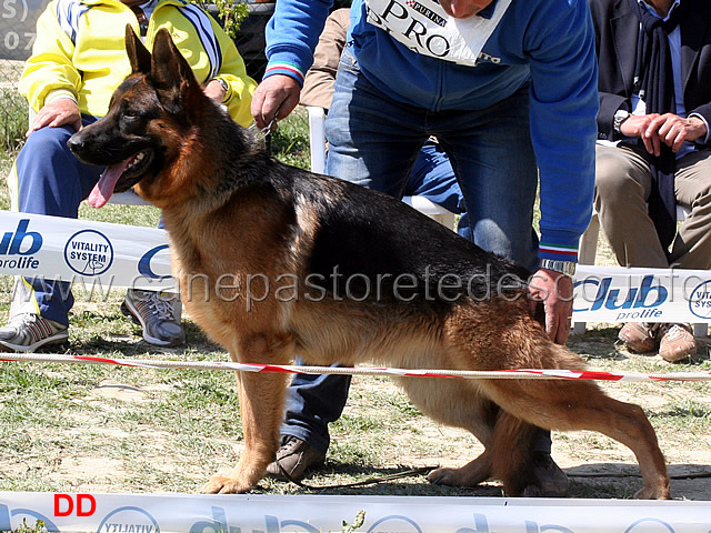 max-4mb-giovanissimi-maschi.jpg - Max 4 MB Giovanissimi maschi 