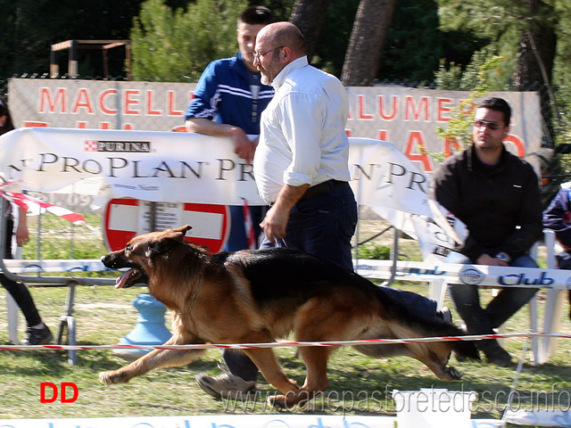 pino-colelli-con-cos-della-grande-valle.jpg - Pino Colelli e Cos della Grande Valle