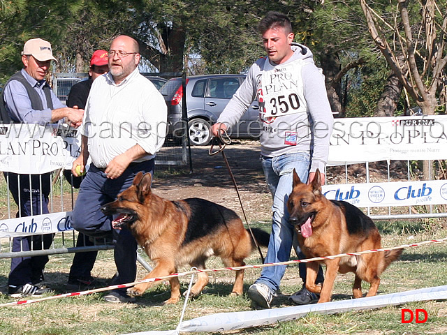 rambo-e-cos-al-fuss-02.jpg - Rambo Zellwaldrand e Cos della Grande Valle al fuss