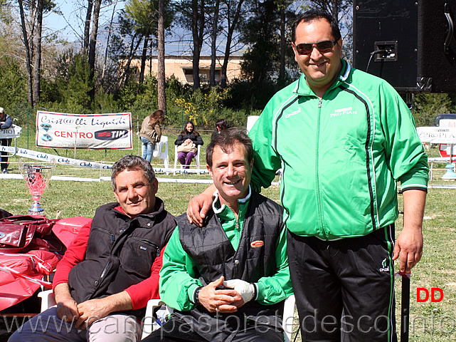 sas-il-plingo-10.jpg - SAS IL Plingo 