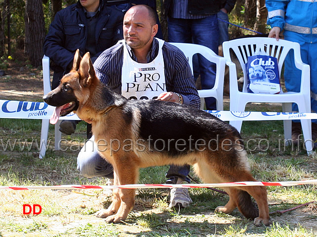 tyson-9mp-baby-maschi.jpg - Tyson 9  MP Baby maschi 