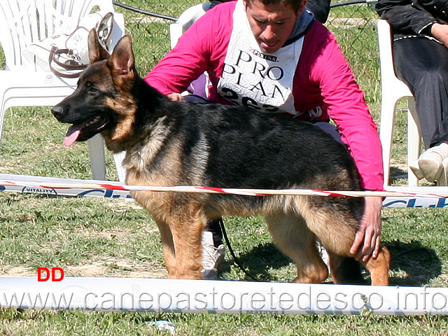 zagherias-aron-2mp-baby-maschi-02.jpg - Zagheria's Aron 2 MP Baby maschi 