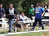 juniores-femmine-briscola-di-santa-venere-bella-del-reventino