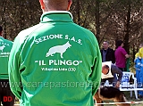 sas-il-plingo-08