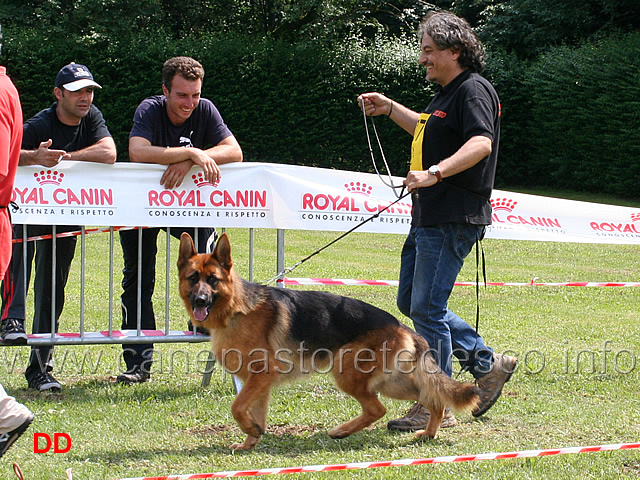 giovani-maschi-lukas-del-ceresio.jpg - Giovani maschi Lukas del Ceresio