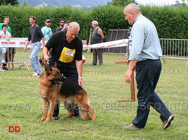 lavoro-maschi-presentazione-da-fermo-twin-frutteto.jpg - Lavoro maschi presentazione da fermo. Twin del Frutteto