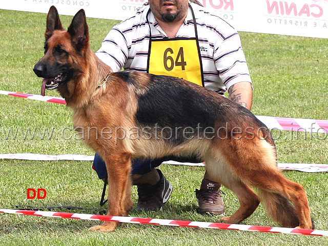 niki-del-frutteto-06.jpg - Lavoro femmine 2 Ecc Niki del Frutteto