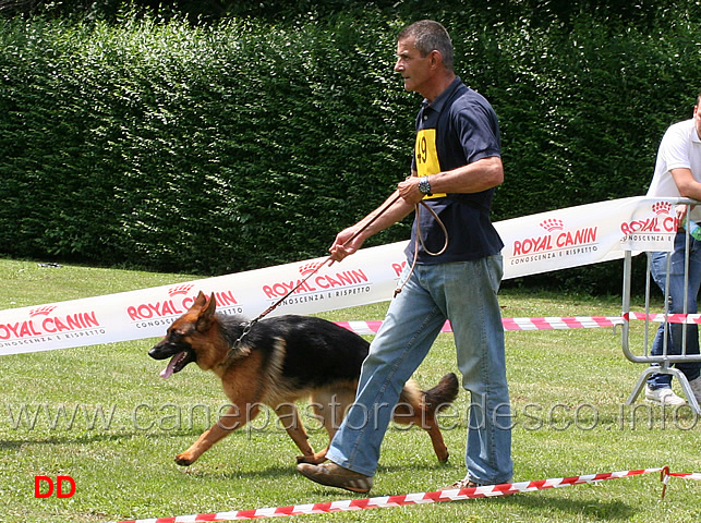 partenza-cucciolone-femmine-nora-di-casa-piellier.jpg - Cucciolone femmine Nora di Casa Piellier