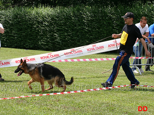 partenza-cucciolone-femmine-tina-nemini-secundus.jpg - Cucciolone femmine Tina Nemini Secundus