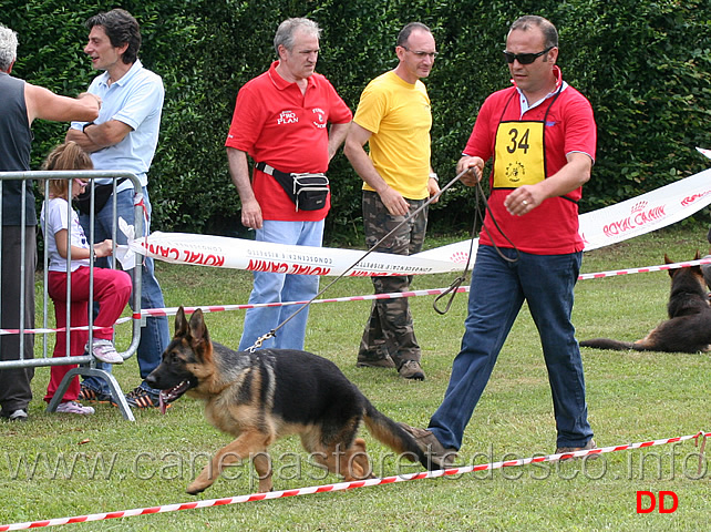 partenza-juniores-femmine-cris.jpg - Juniores femmine Cris