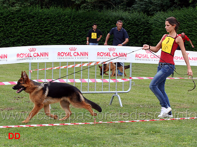 partenza-juniores-maschi-buk-di-casa-spadaro.jpg - Juniores maschi Buck di Casa Spadaro