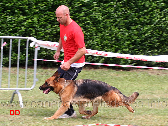 romy-del-catone-05.jpg - Lavoro femmine Romy del Catone