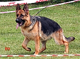 carlotta-di-croce-santo-spirito-04