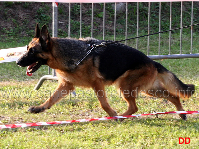 carlotta-di-casa-beggiato.jpg -  Carlotta di Casa Beggiato 