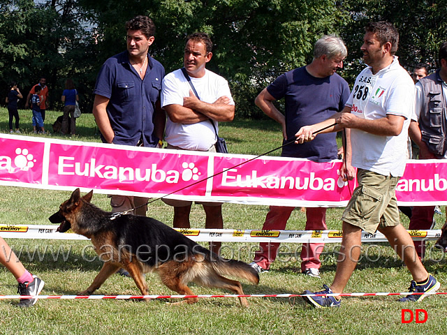 cucciolone-femmine-ruby-di-casa-libardi.jpg - Cucciolone femmine Ruby di Casa Libardi
