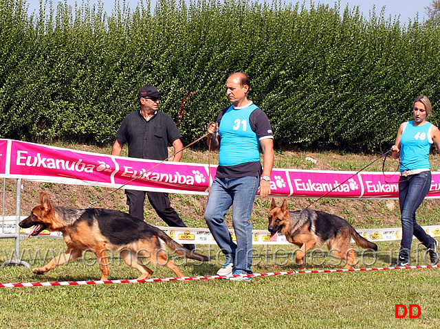 juniores-femmine-frida-di-casa-piellier-e-lea-del-ceresio.jpg - Juniores femmine Frida di Casa Piellier e Lea del Ceresio