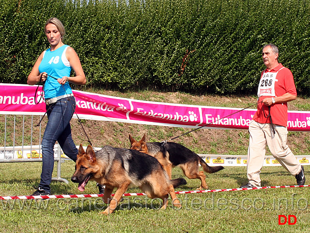 juniores-femmine-lea-del-ceresio-zara-del-murnighello.jpg - Juniores femmine Lea del Ceresio e Zara del Murnighello