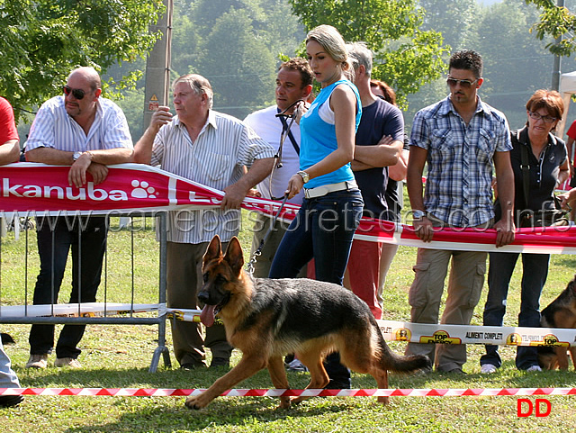 lea-del-ceresio.jpg - Lea del Ceresio