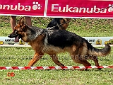 chira-di-casa-max-02
