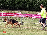 cuccioloni-maschi-heto-ceresio