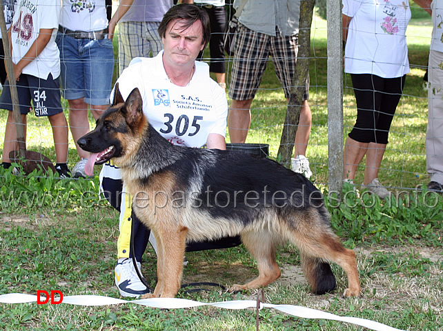 achi-della-ciavasca-3mp-juniores-femmine.jpg - Achi della Ciavasca 3 MP Juniores femmine