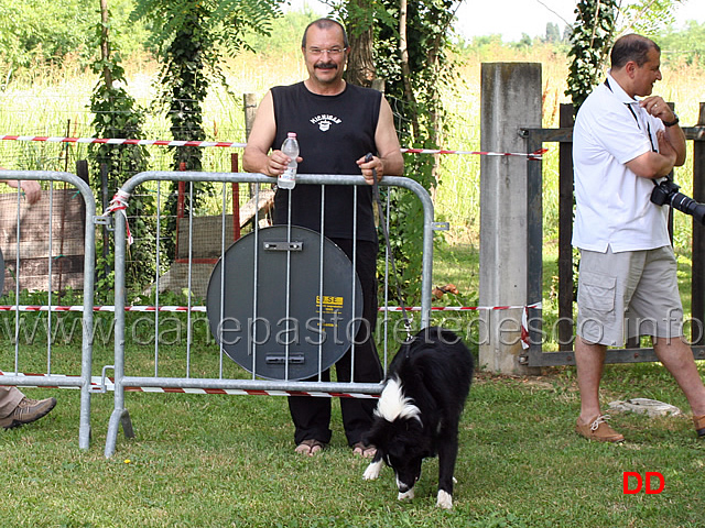 giorgio-longo.jpg - Giorgio Longo ...con una bottiglia d'acqua e un Border a guinzaglio??????????