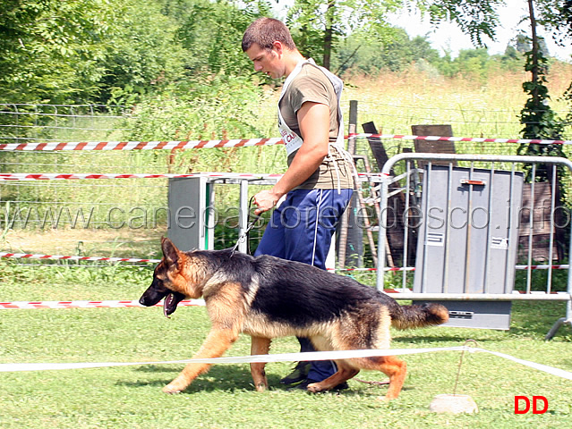 juniores-maschi-cisco-della-padana-vescovana.jpg - Juniores maschi Cisco della Padana Vescovana