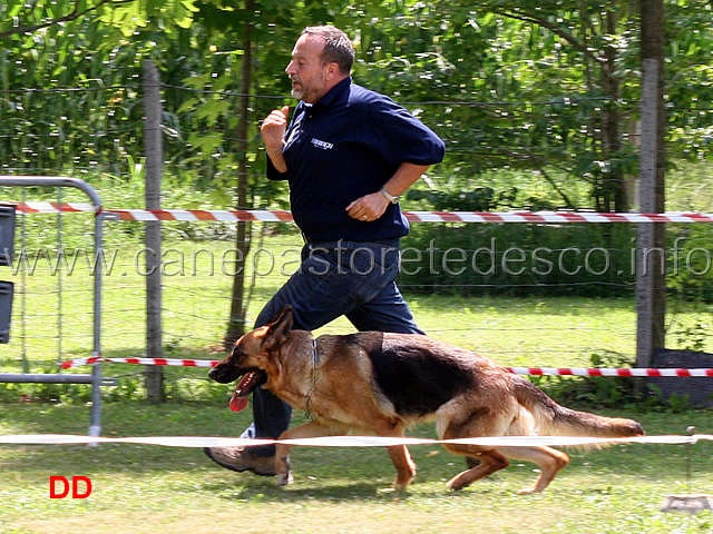 paolo-spaccini-con-freja-dell-alpe-adria-05.jpg - Paolo Spaccini con  Freja dell'Alpe Adria