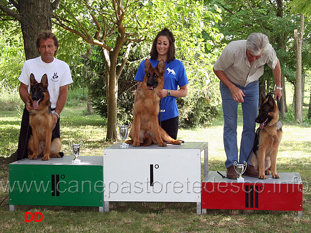 podio-juniores-femmine.jpg - Podio Juniores femmine Nina della Valzoldana, Bella del Frutteto, Achi della Ciavasca