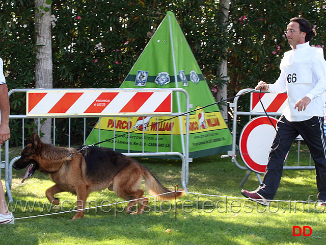 lavoro-maschi-max-di-cariddi-02.jpg - Partenza Lavoro maschi Max di Cariddi 