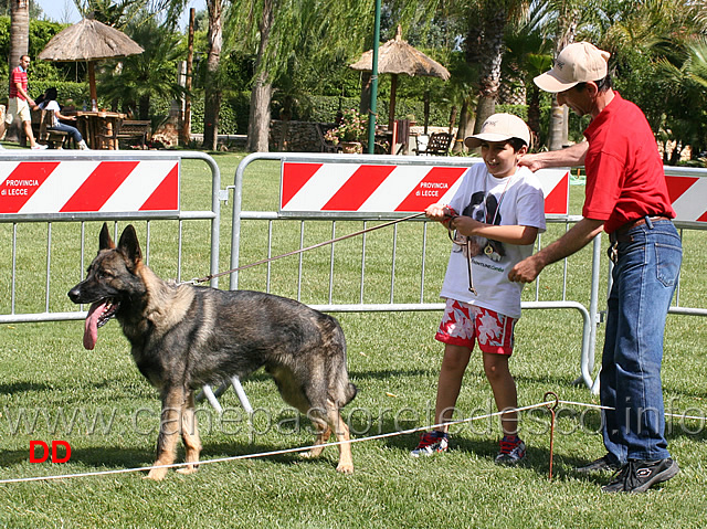 premiazione-giovani-conduttori.jpg - Premiazione giovani conduttori 