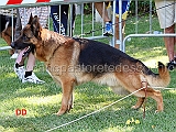 king-del-rione-antico-2ecc-lavoro-maschi-03