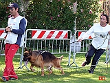 max-di-cariddi-recupera-una-posizione