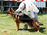 omar-terrae-lupiae-3mp-juniores-maschi