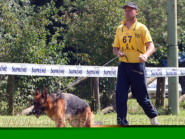 137.jpg - Classe lavoro femmine Giuly della Valle dei Rovi