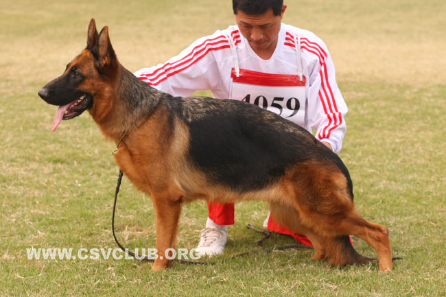 gondra-von-changfeng