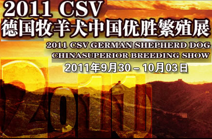 siegerschau cina 2011