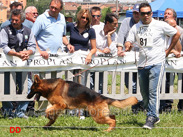 Partenza-Giovani-maschi-GerryVal-Ciro.jpg - Partenza Giovani maschi: Gerry Val Ciro