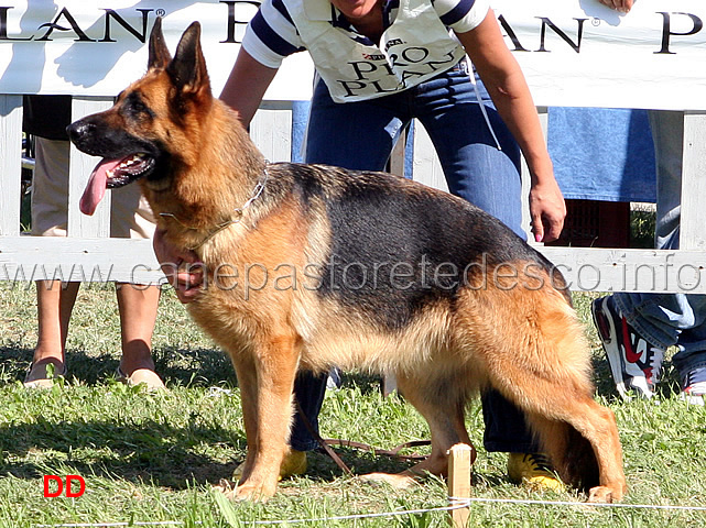 Agatha-vom-Webachtal-11-Ecc.jpg - Agatha v. Webachtal 11 Ecc