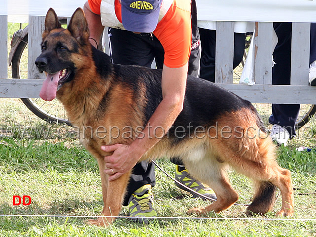 Baggio-dell-Alto-Ofanto-26-Ecc.jpg - Baggio dell'Alto Ofanto 26 Ecc