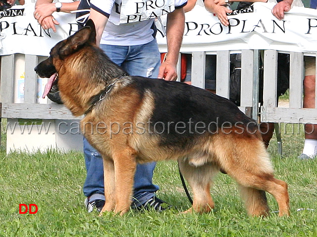 Bart-degli-Osci-23-Ecc.jpg - Bart degli Osci 23 Ecc
