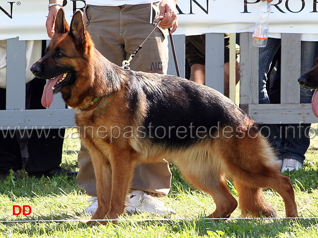 Betty-di-Casa-Luca-3-Ecc.jpg - Betty di Casa Luca 3 Ecc