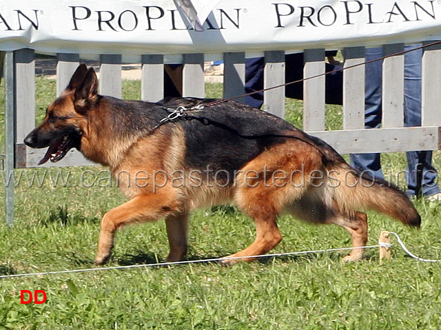 Birra-Lucky-Animals.jpg - Birra Lucky Animals