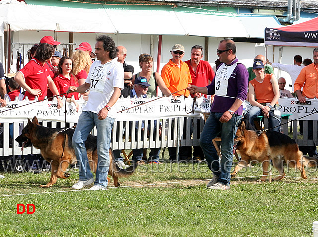 Blackhills-e-Cos-della-Grande-Valle-.jpg - Blackhills 10 Ecc e Cos della Grande Valle 11 Ecc