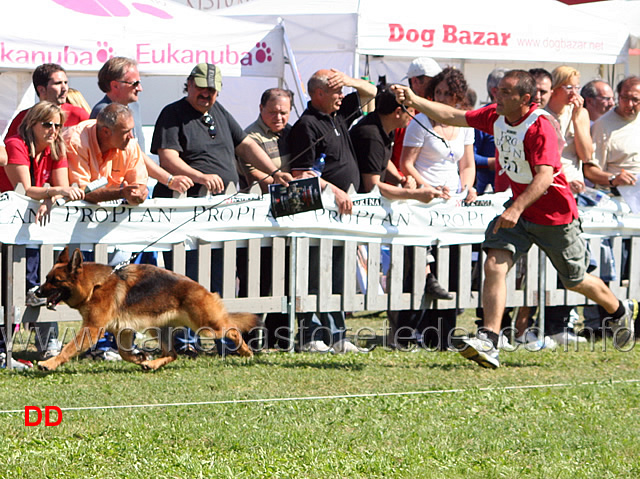 Blanka-Gens-Pontina-.jpg - Blanka della Gens Pontina