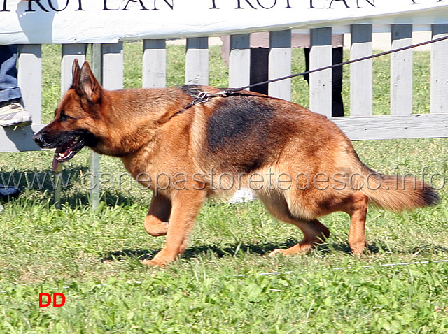 Blanka-della-Gens-Pontina.jpg - Blanka della Gens Pontina
